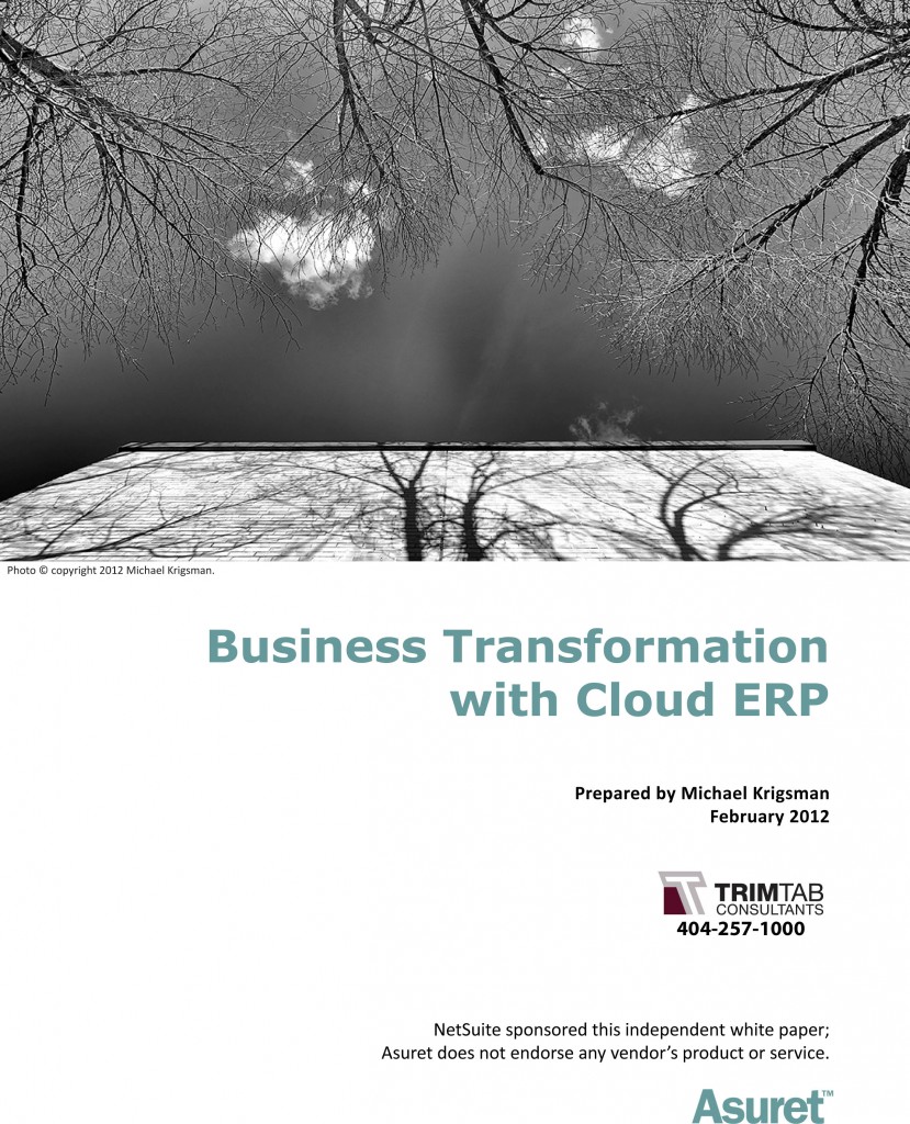 Cloud_ERP_Business_Transformation_TrimtabConsultants-1